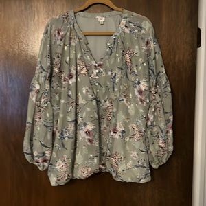 Woman’s dress blouse, elastic bottom and shear bell sleeves.